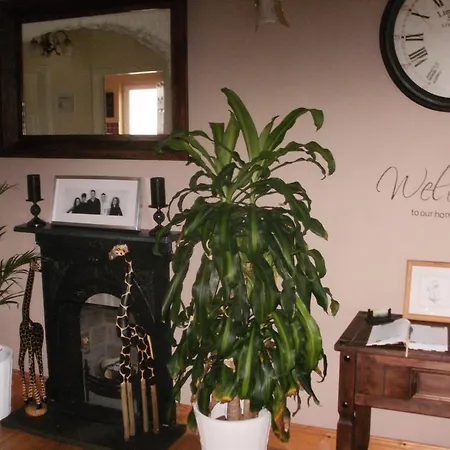 Guest house Elements 3*
